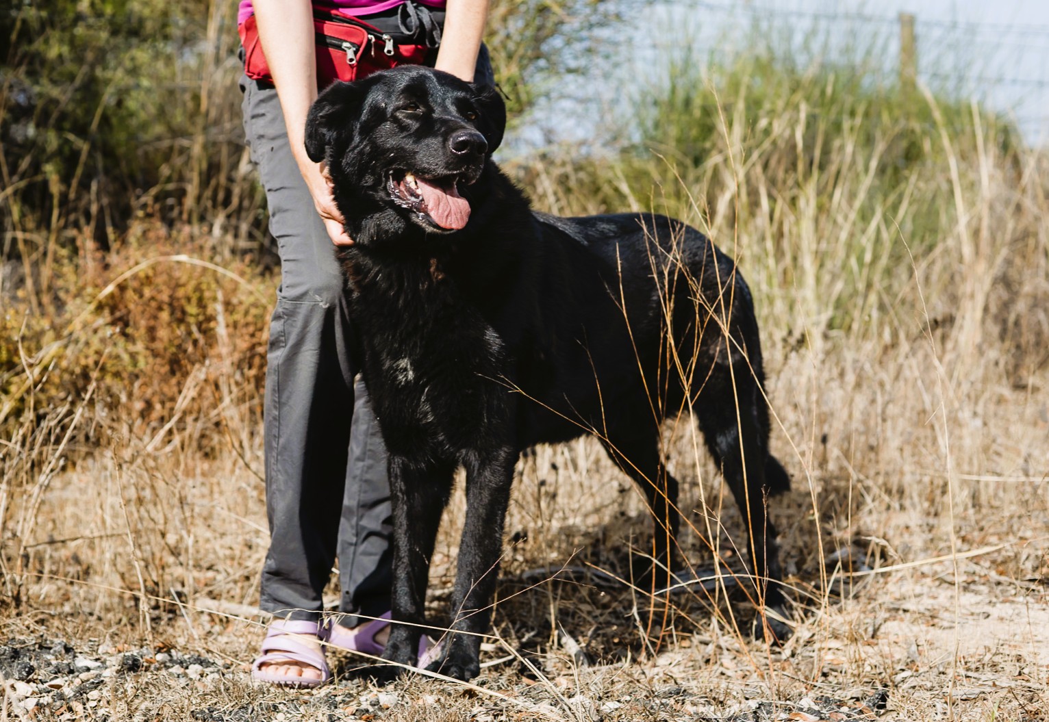 STORM