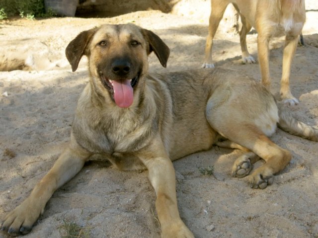 SEBASTIAO