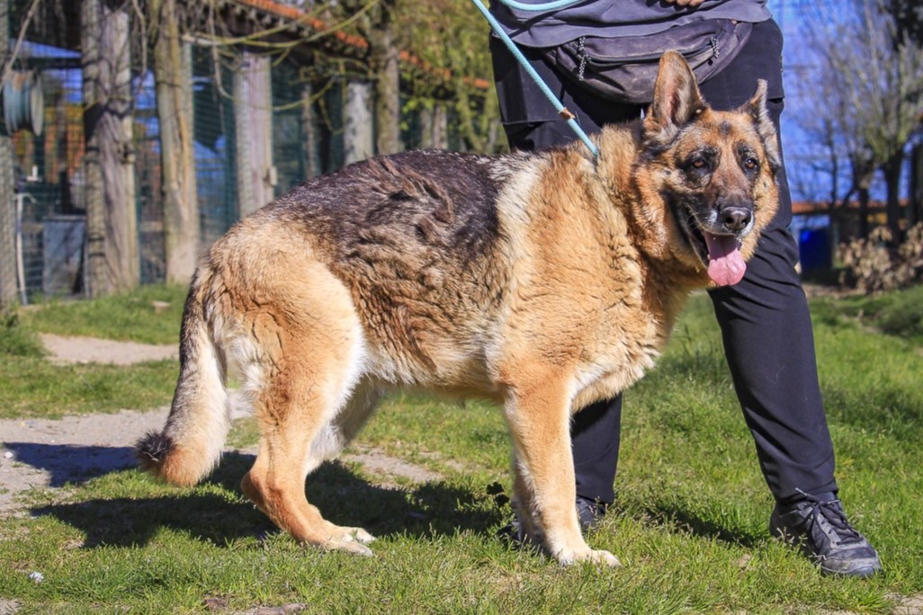 HERA