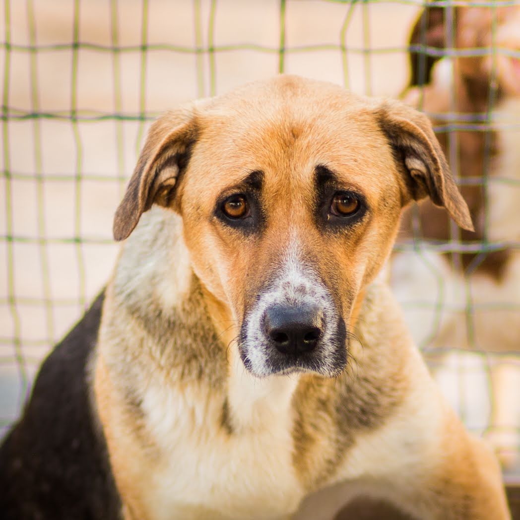 MADONA