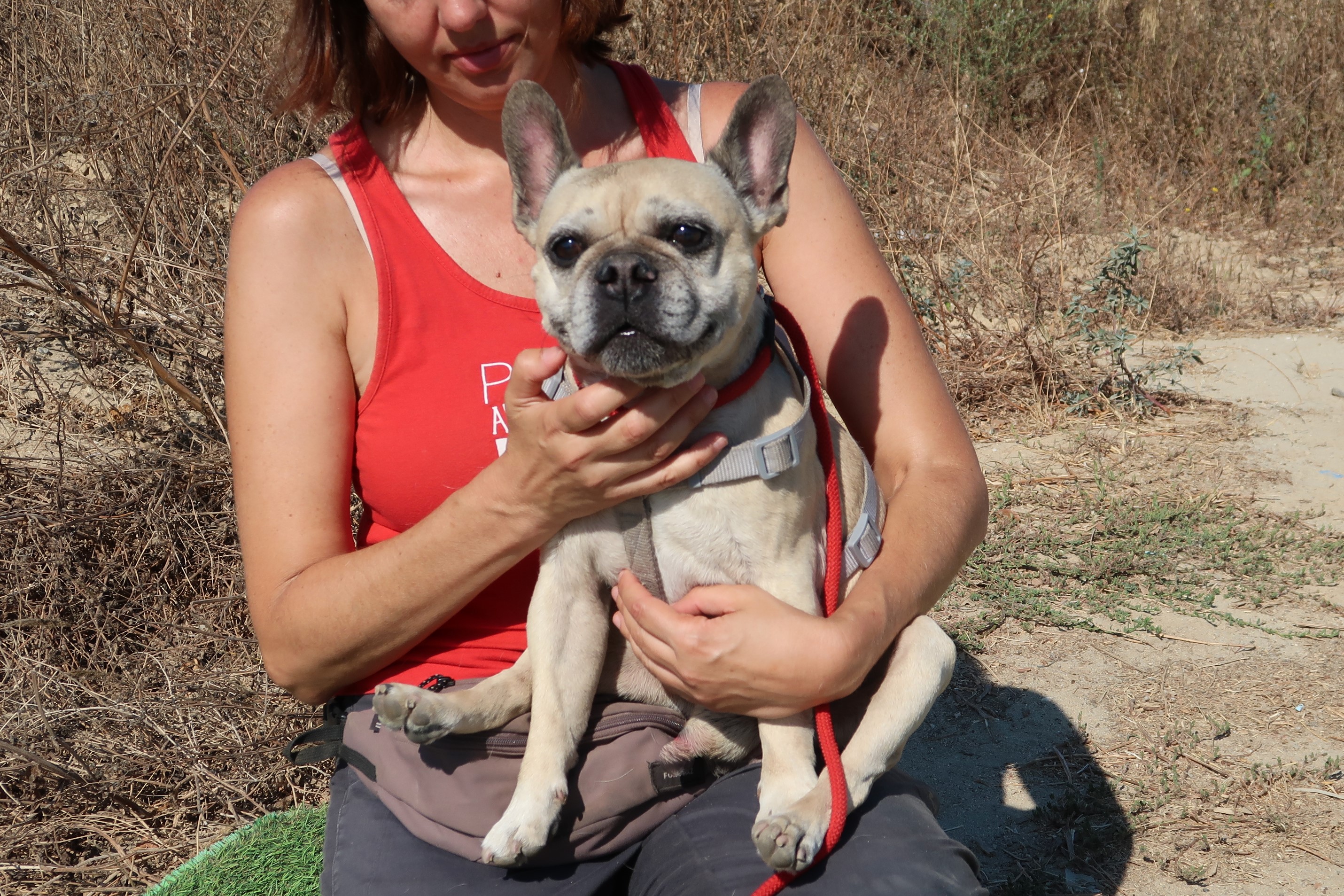CHICO