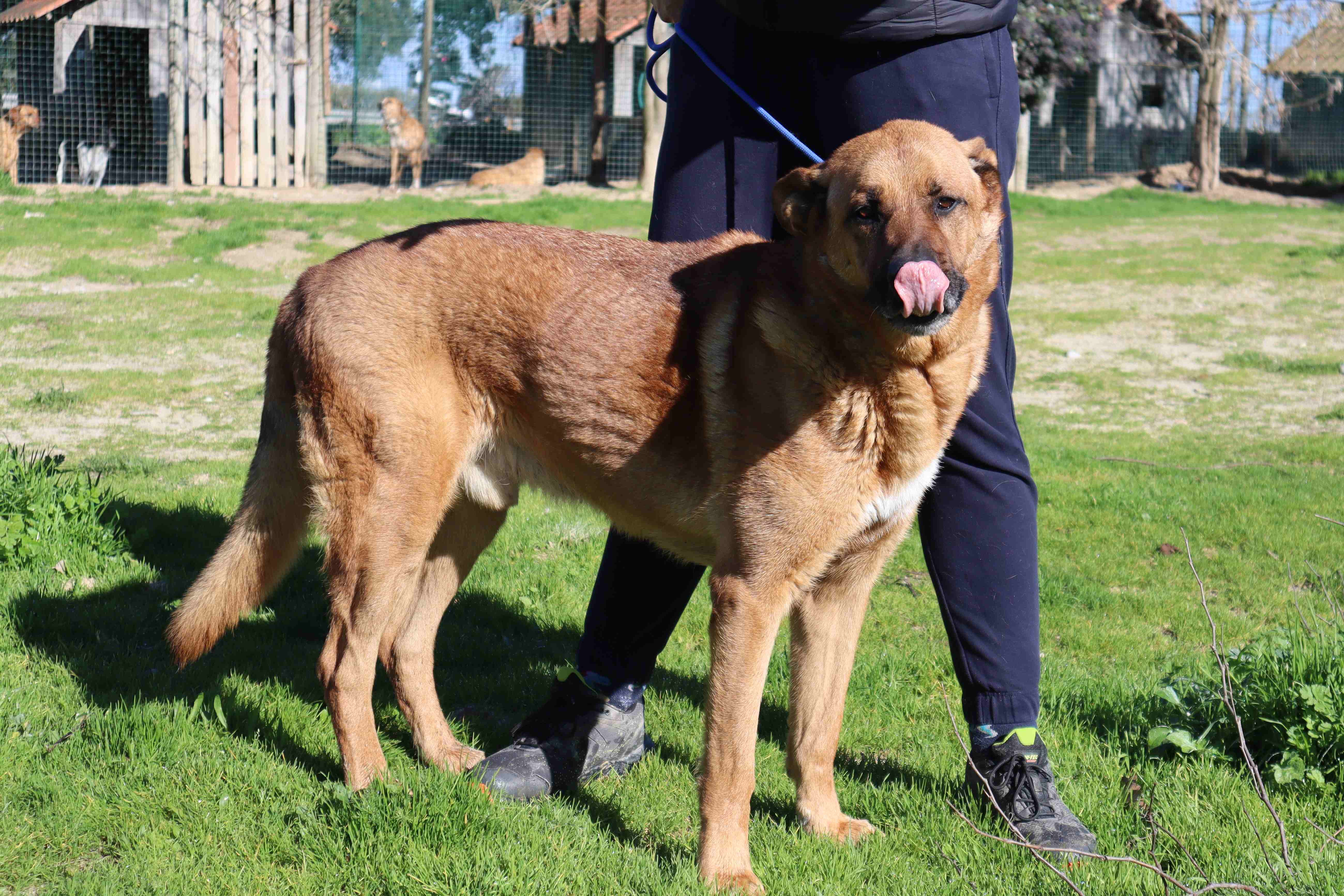RUCA 10948