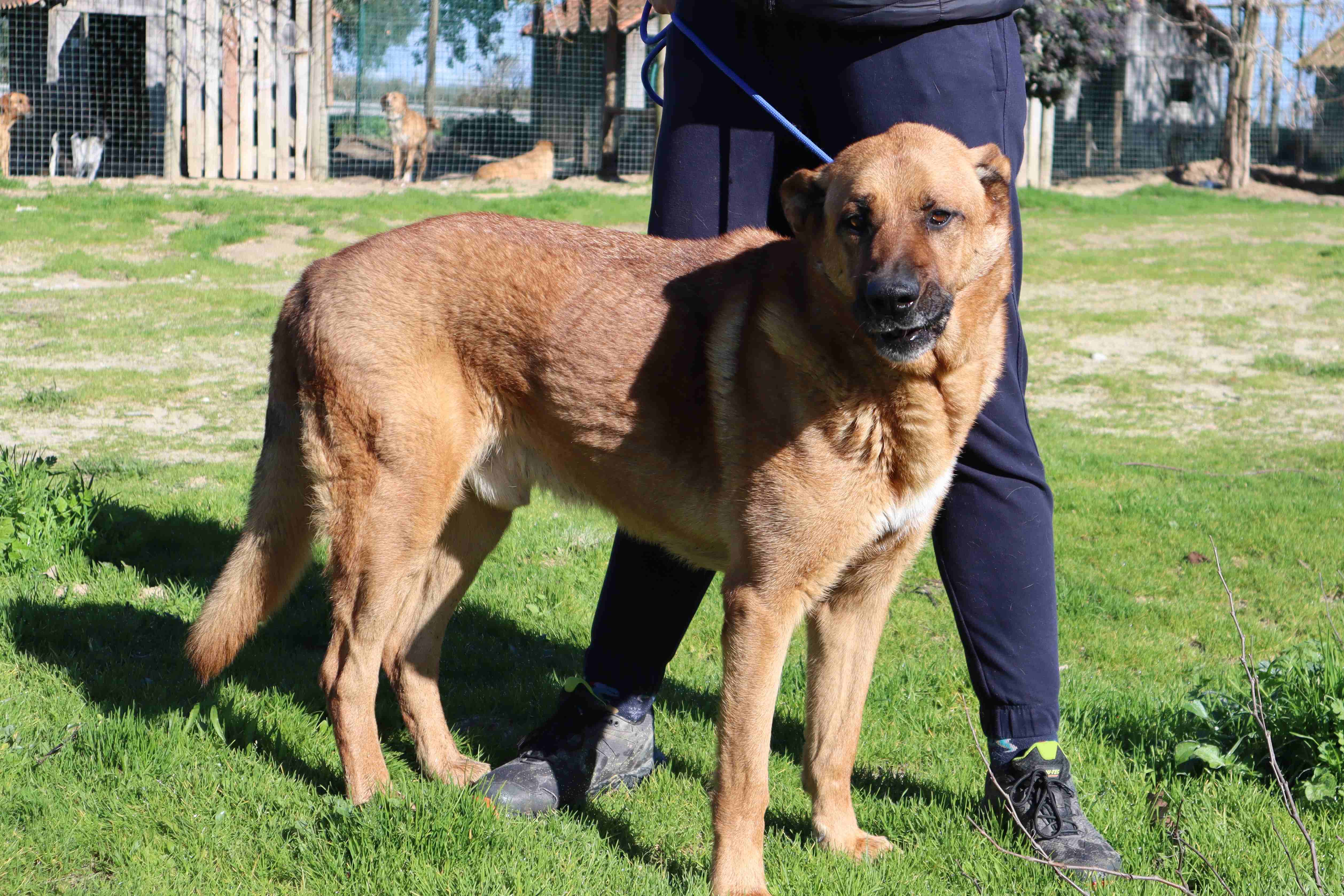 RUCA 10948