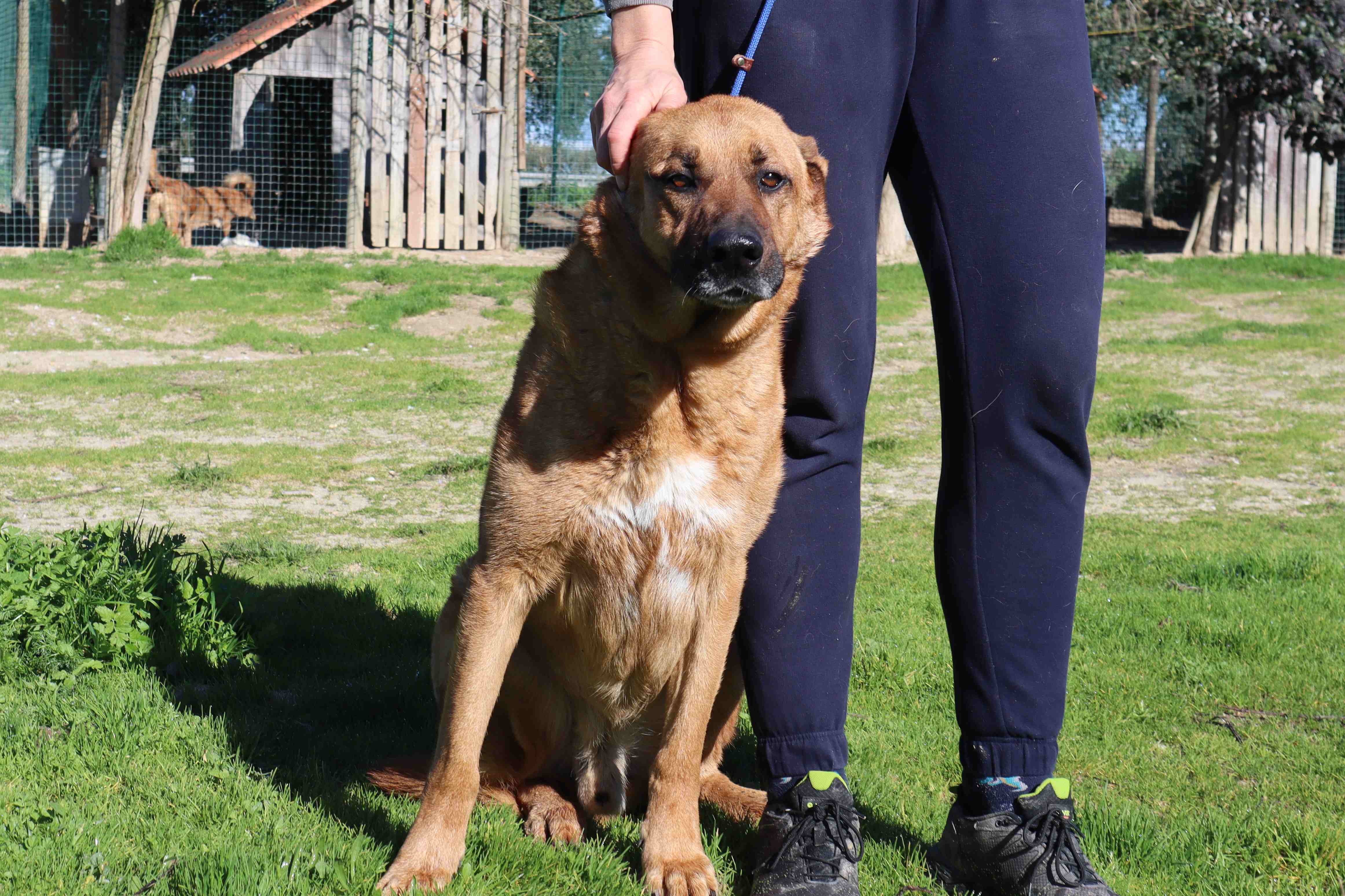 RUCA 10948