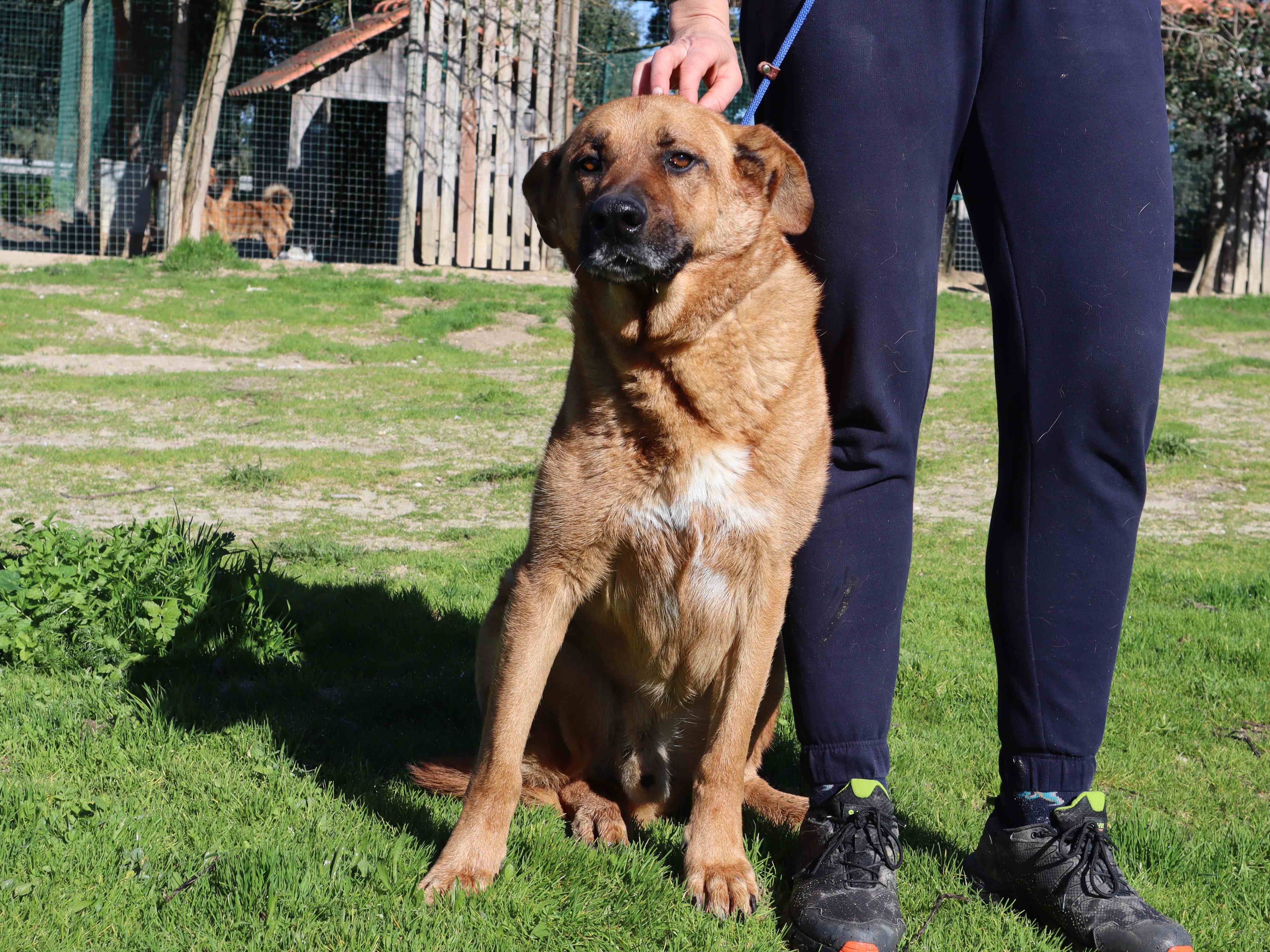 RUCA 10948