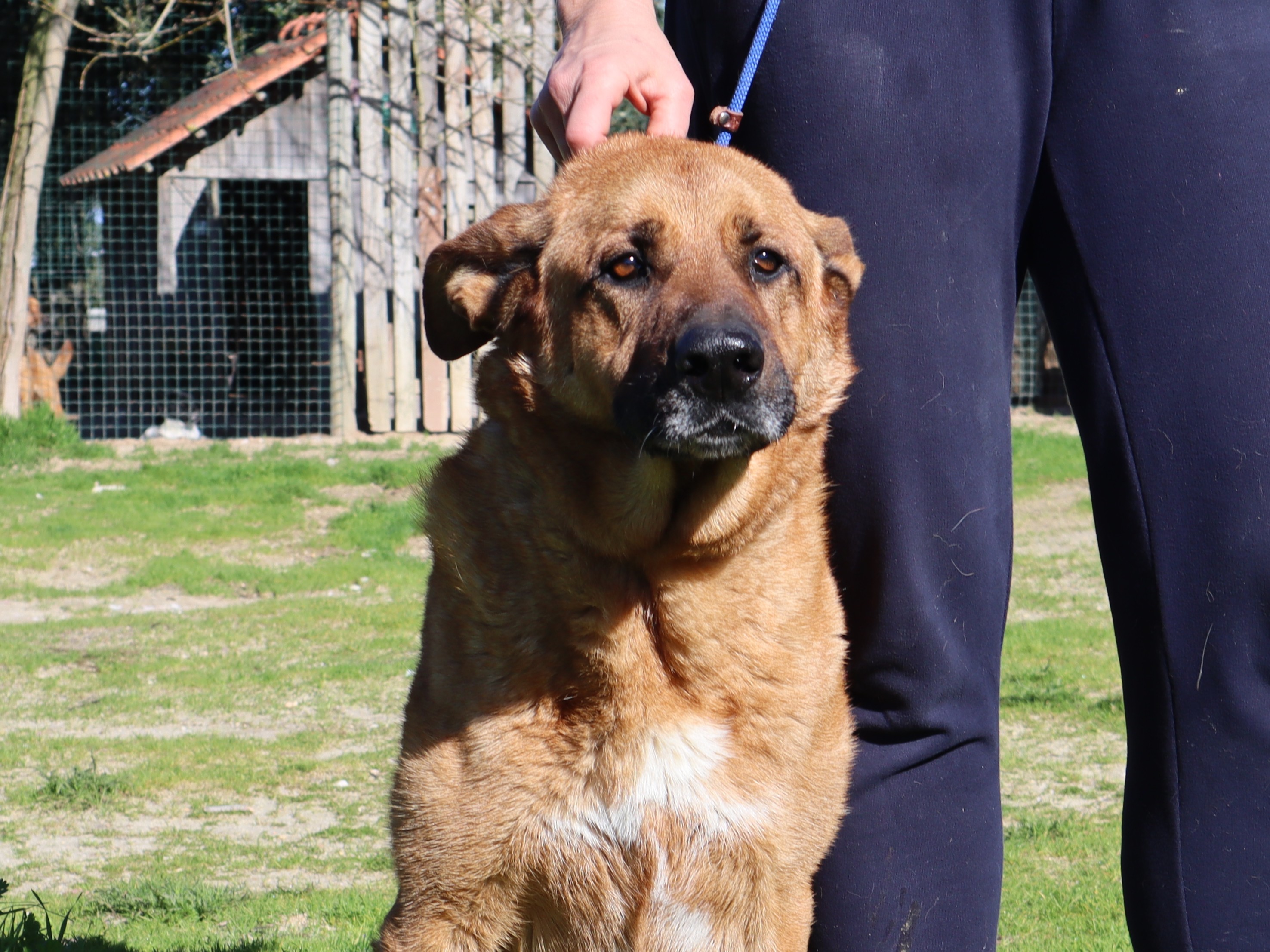 RUCA 10948