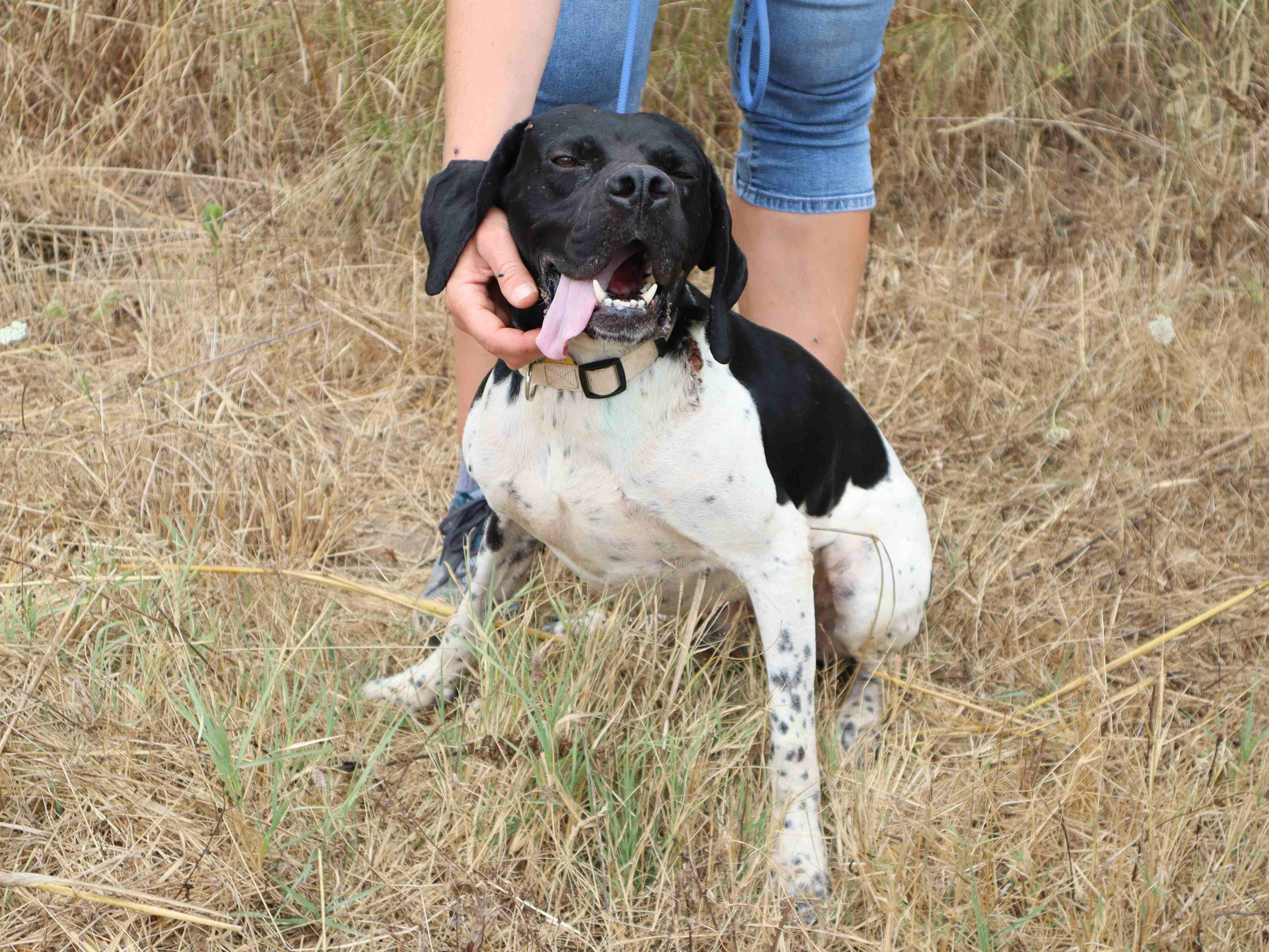 DOUGLAS