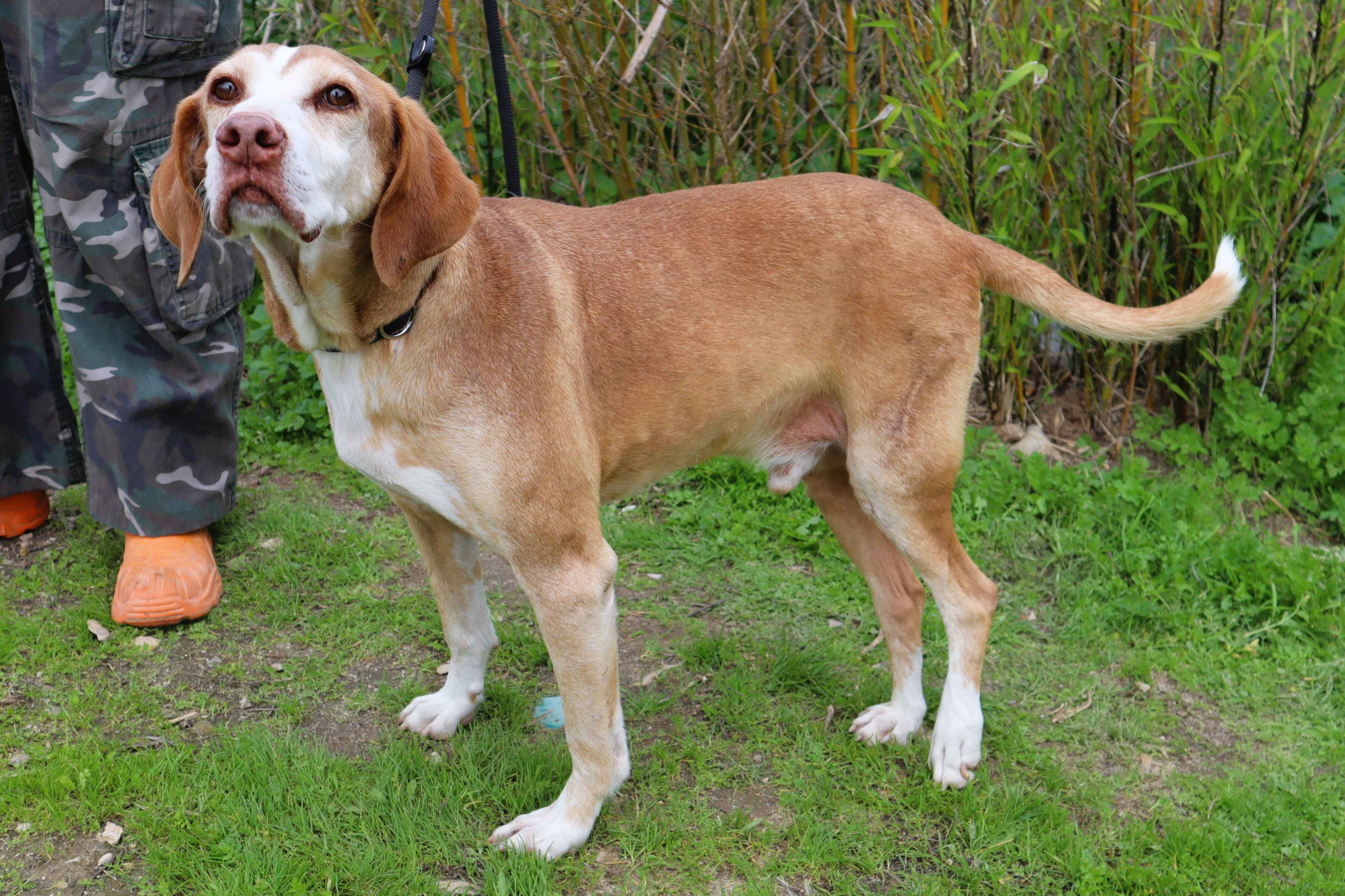 ARCHIE 11621