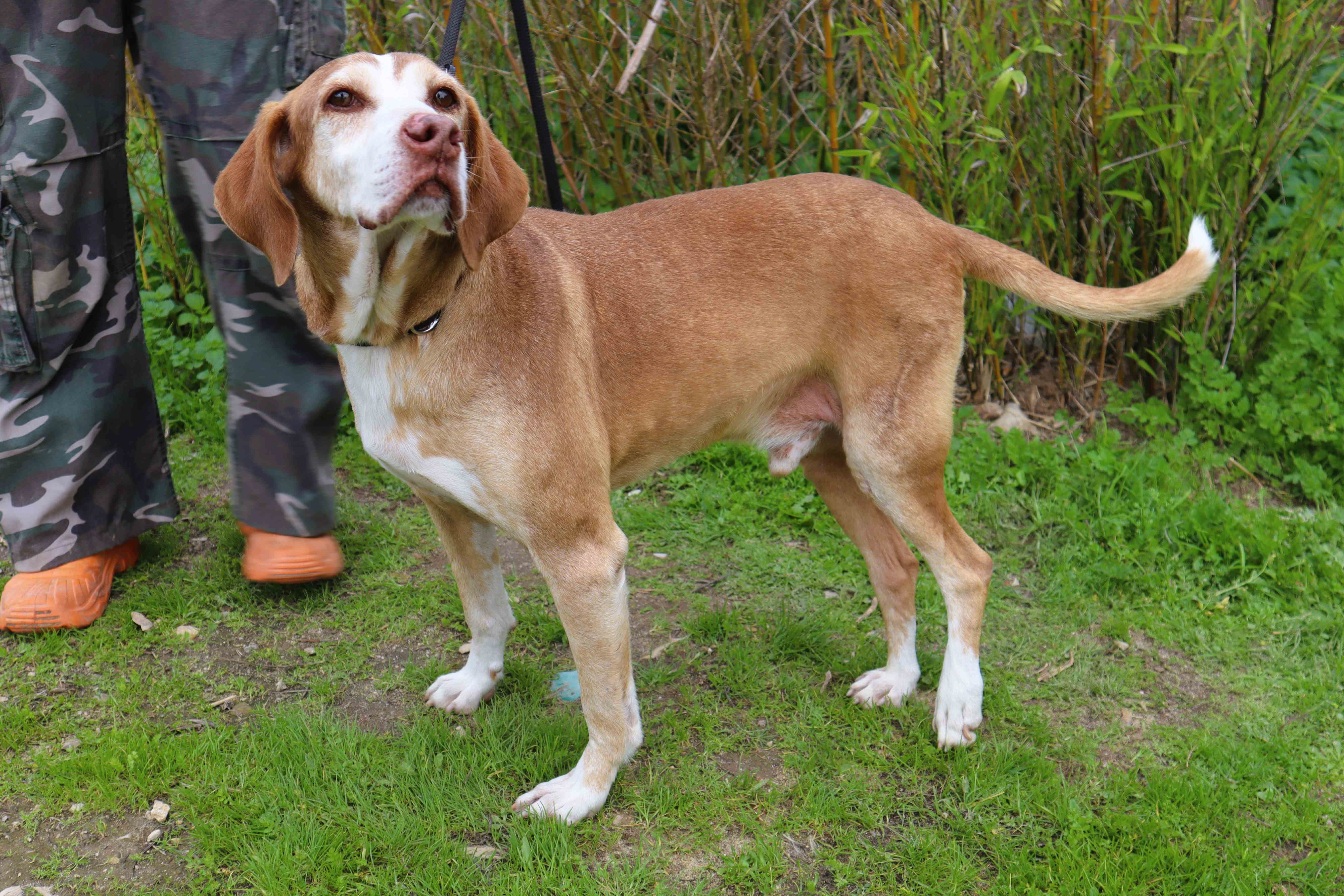 ARCHIE 11621