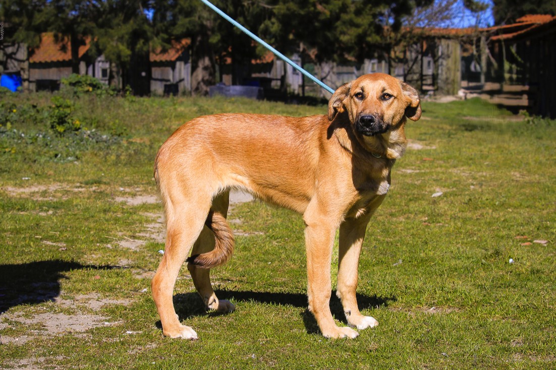 NALA 11814