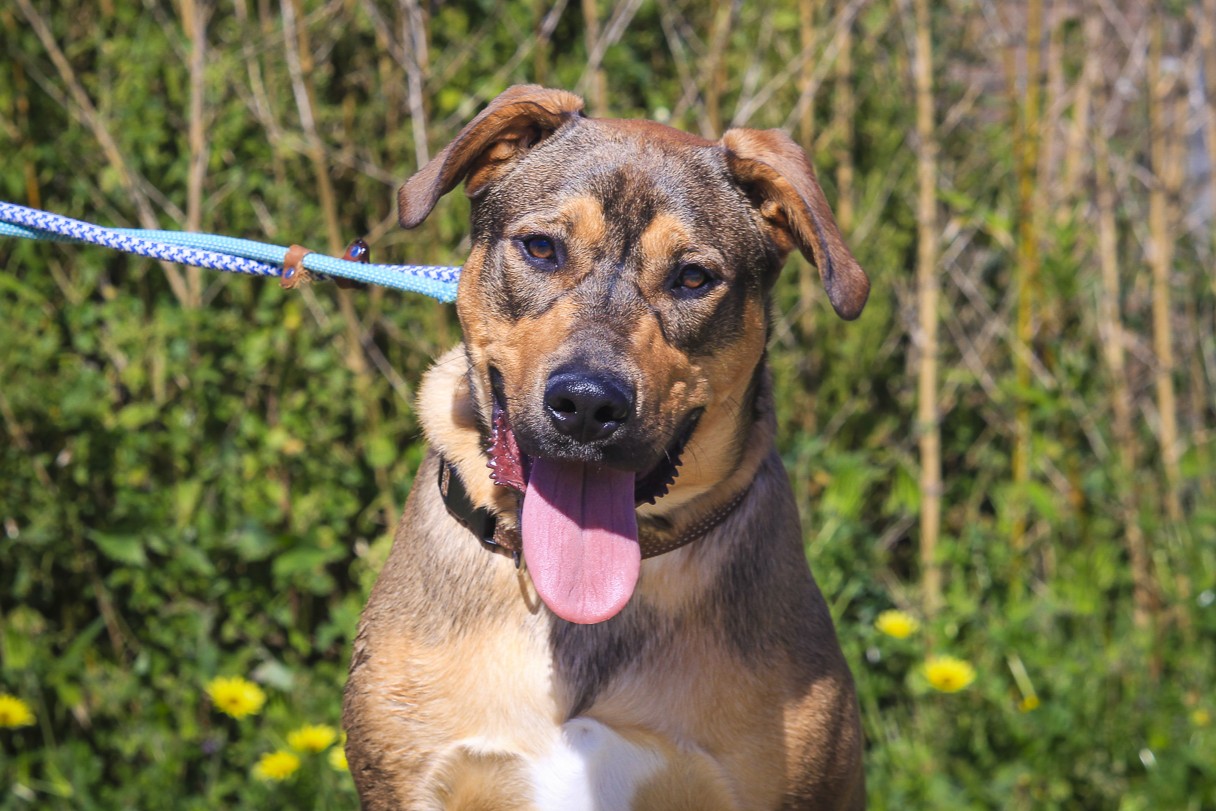 BORIS 11837