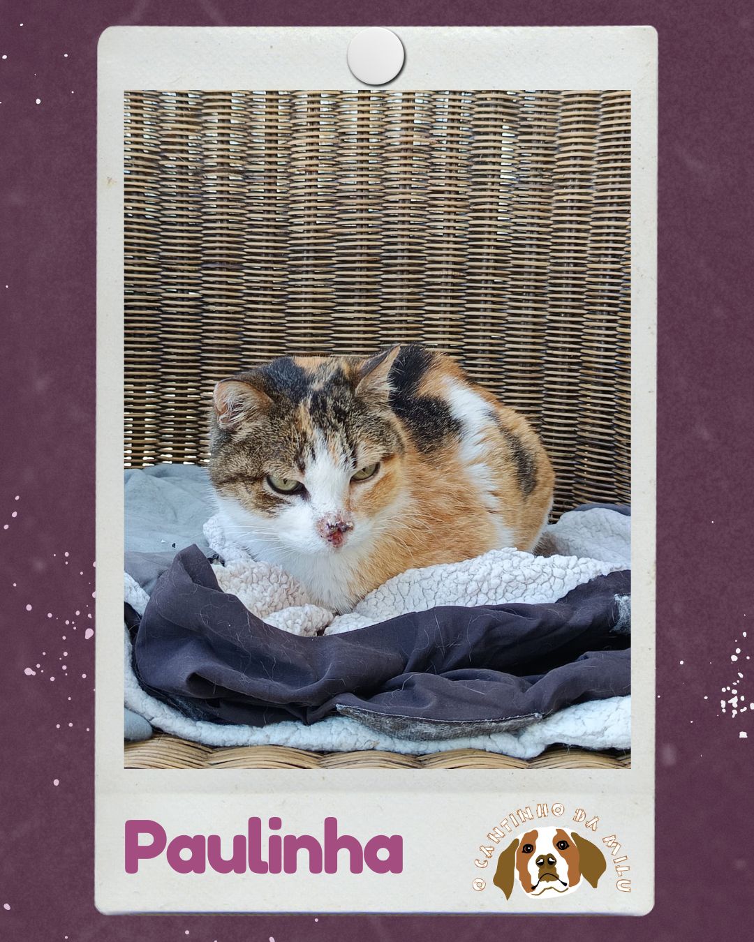 Paulinha