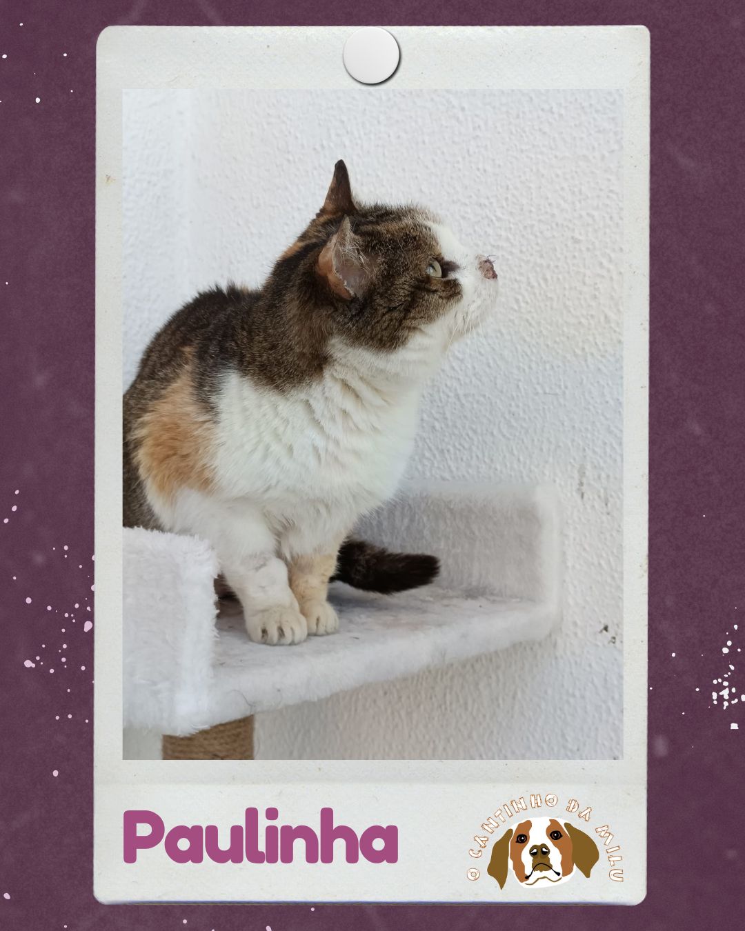 Paulinha