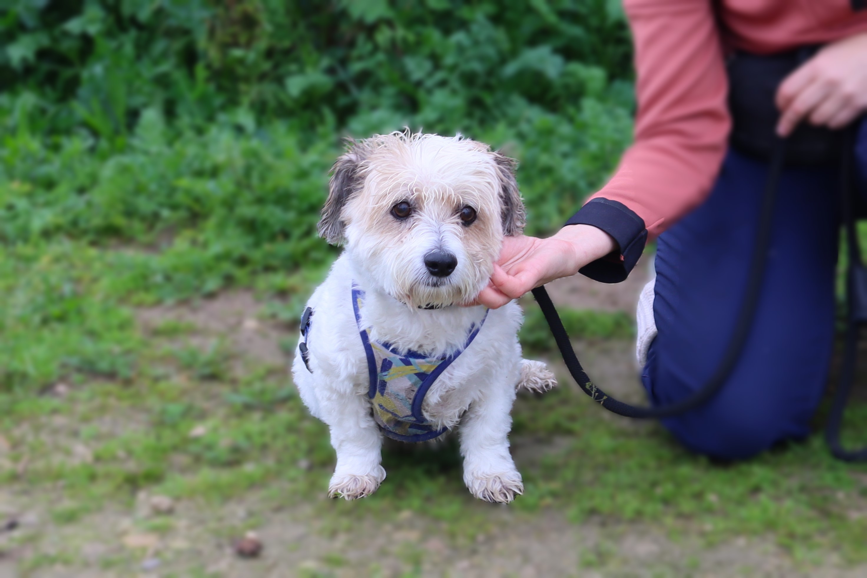 FREDDIE 6170