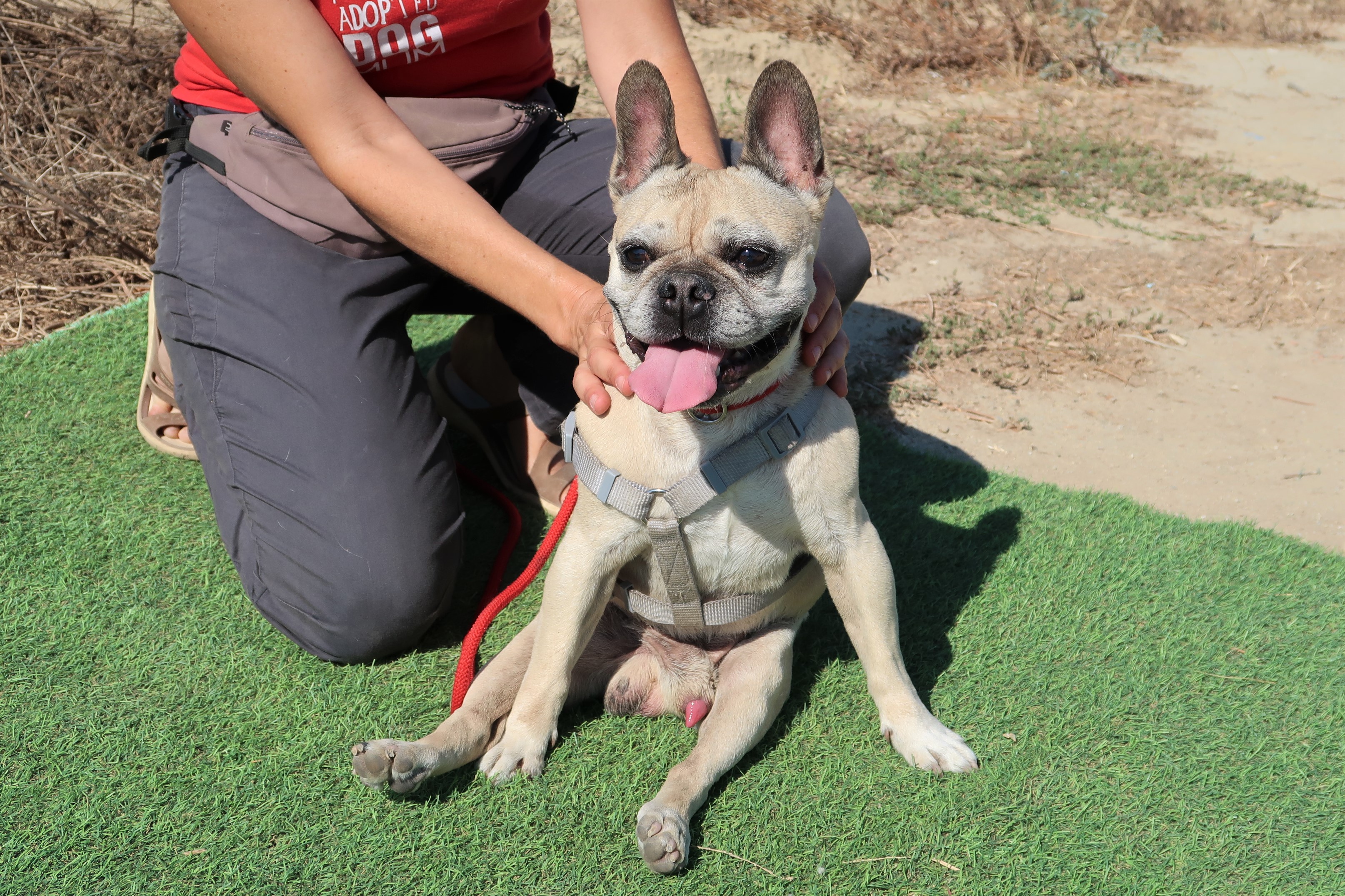 CHICO 8414