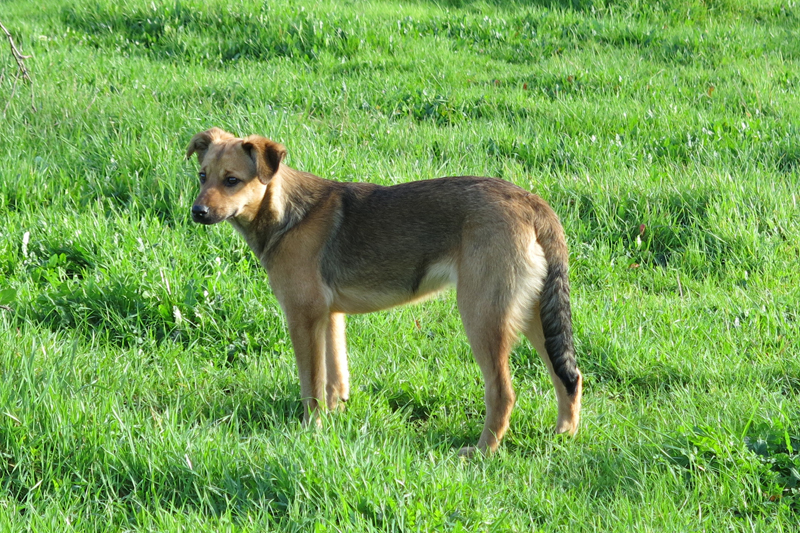 JULIETA 888