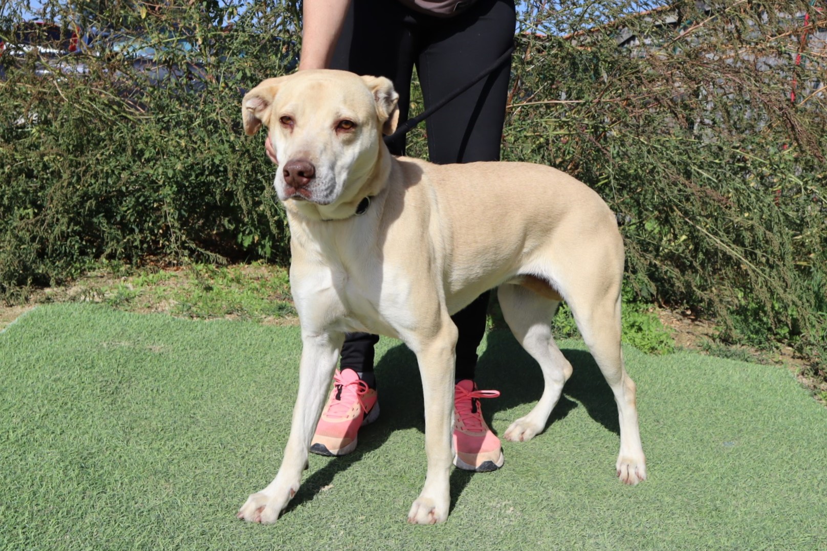 CHARITY 9371