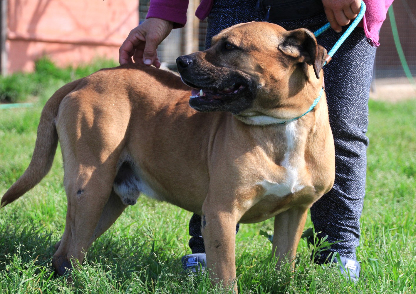 WINSTON 9821