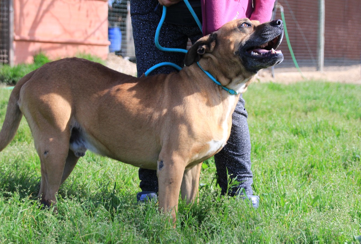 WINSTON 9821