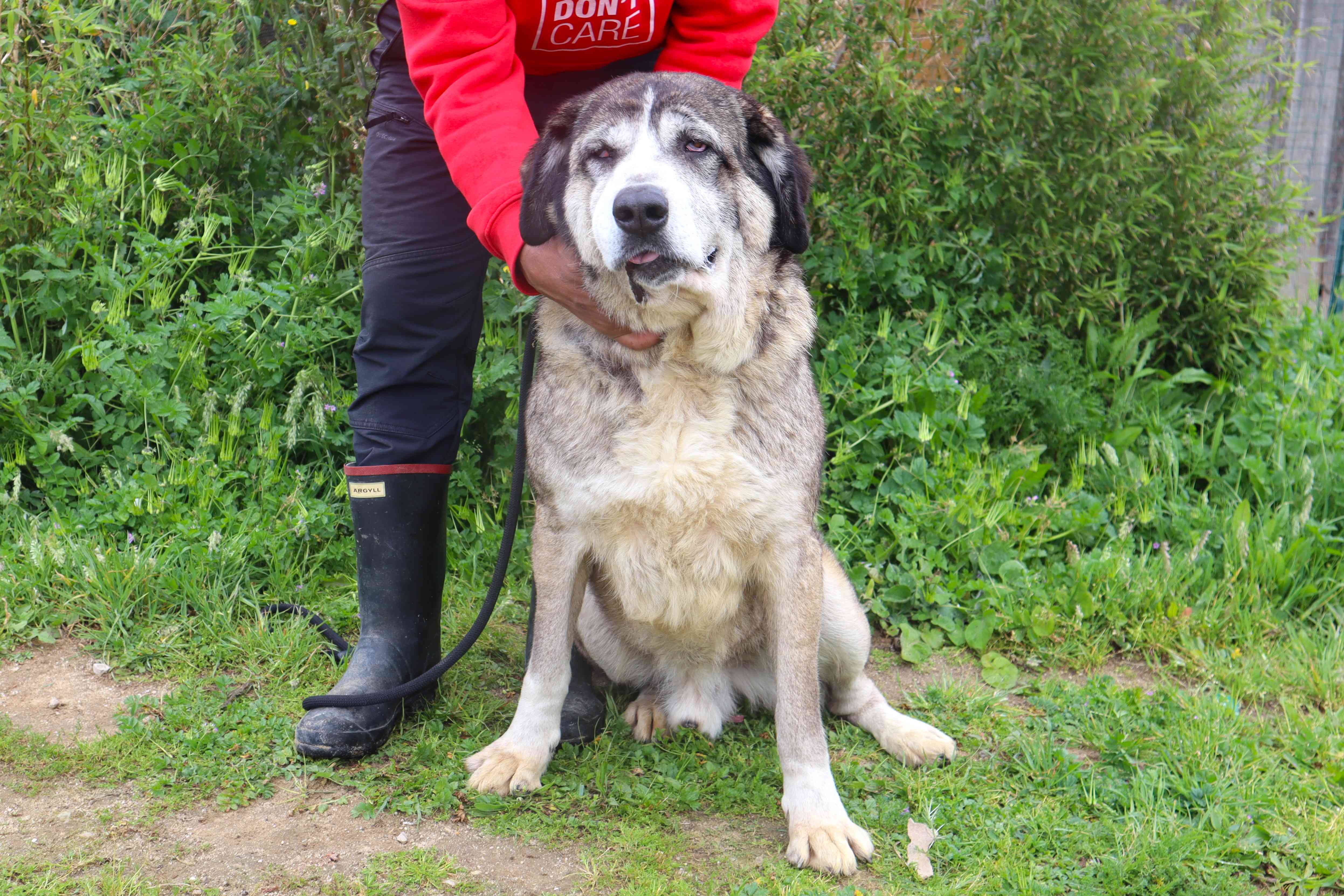 RUFUS 9871